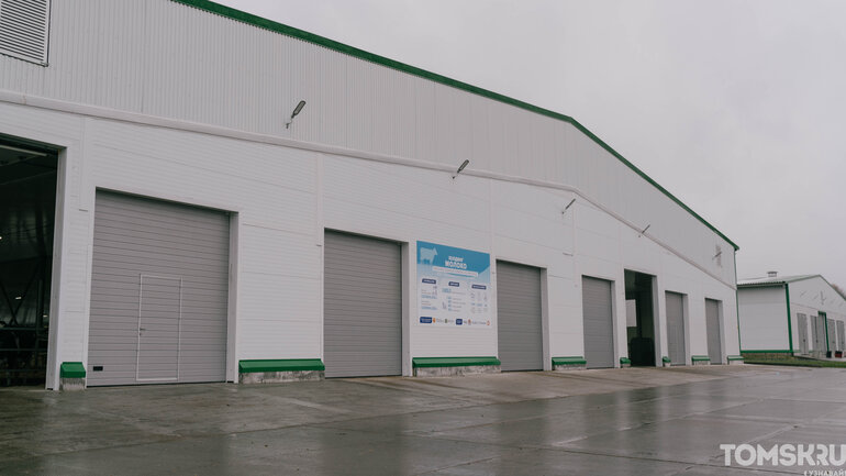 Как выглядит самая крупная молочная ферма в Томской области — фоторепортаж