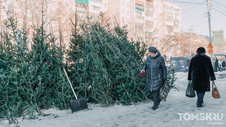 Зажжение елки, забег Дедов Морозов, катки и русский брендбук: власти Томска рассказали о подготовке к Новому году
