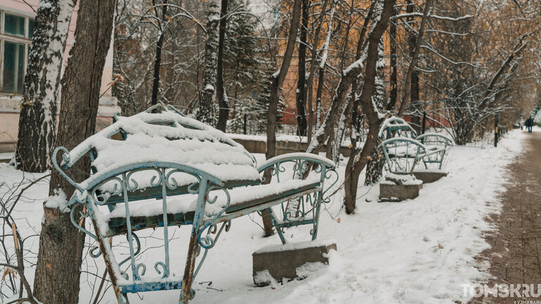 Первый снег в Томске: деревья, деревянные дома и одна кошка