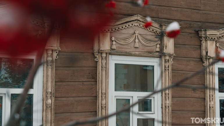 Первый снег в Томске: деревья, деревянные дома и одна кошка