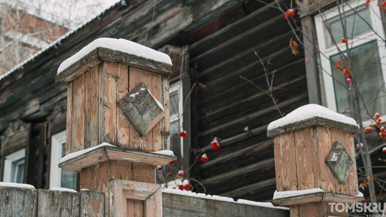 Первый снег в Томске: деревья, деревянные дома и одна кошка