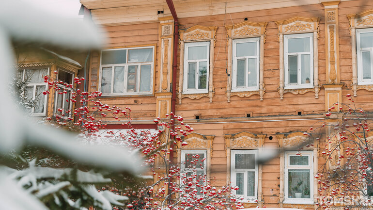 Первый снег в Томске: деревья, деревянные дома и одна кошка