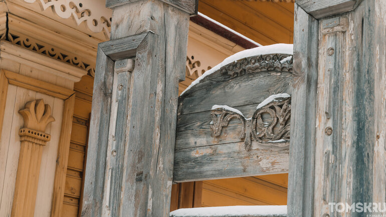 Первый снег в Томске: деревья, деревянные дома и одна кошка