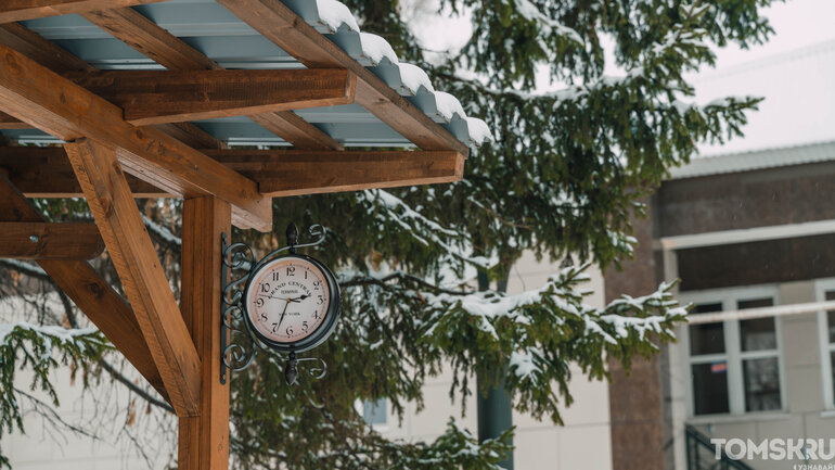 Первый снег в Томске: деревья, деревянные дома и одна кошка