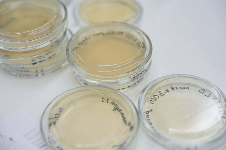 В томской школе при поддержке «Газпромнефть-Востока» будут готовить юных биотехнологов