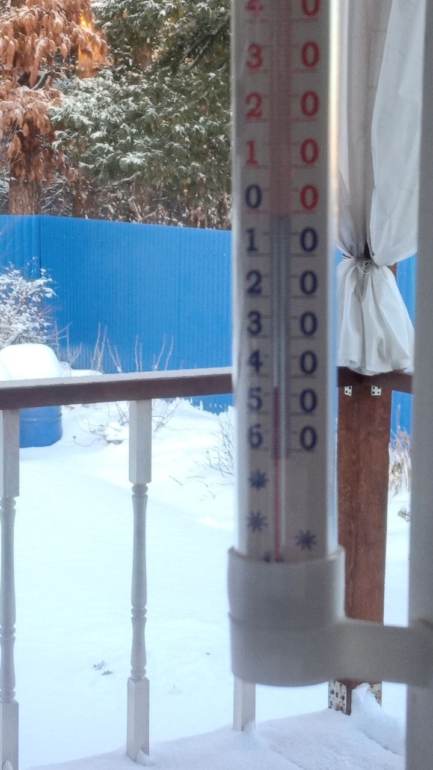 Ниже -40°C: томичи спорят о погоде и делятся фото градусников