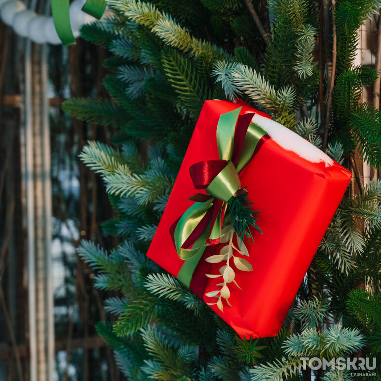 В Томске более 1650 организаций установили новогодние украшения