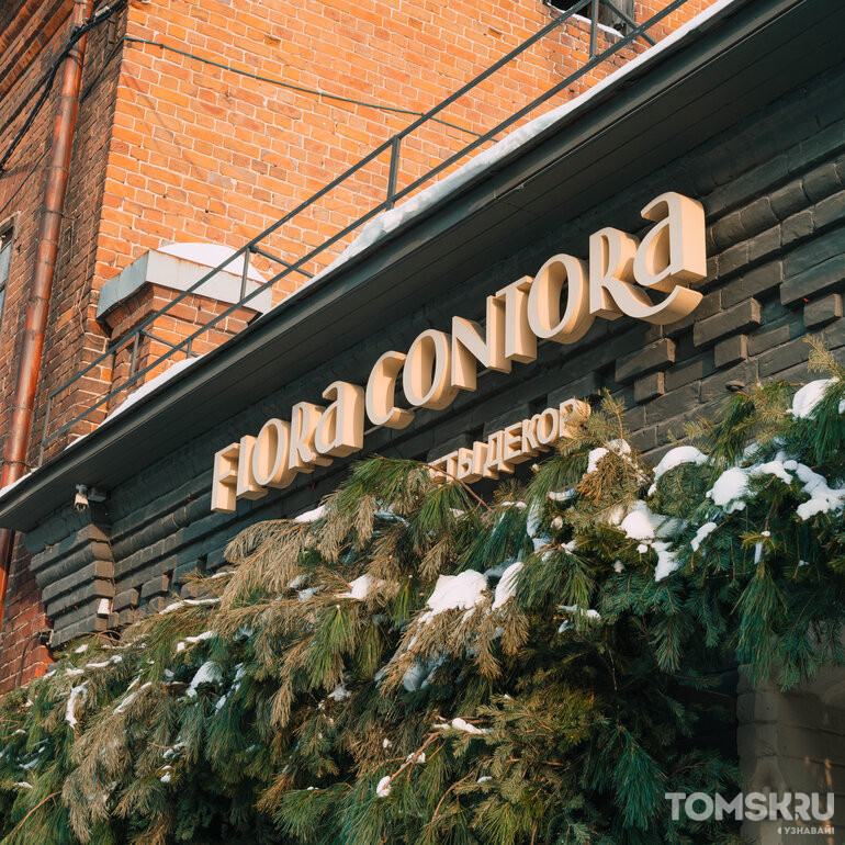 В Томске более 1650 организаций установили новогодние украшения