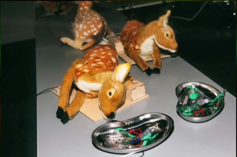 Томичей приглашают в Новосибирск: восемь идей для семейного новогоднего чуда