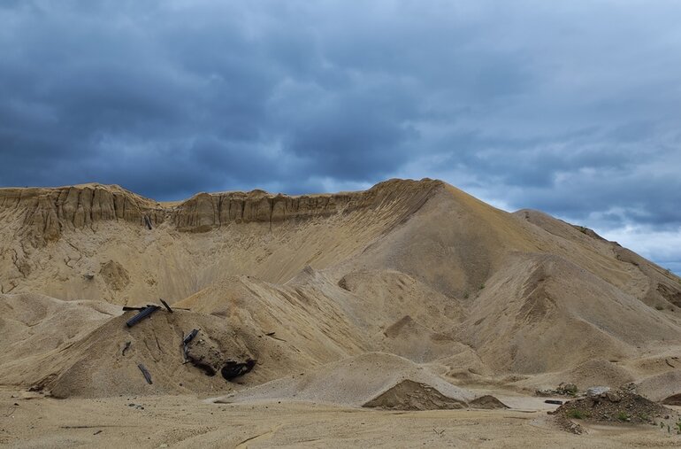 Томские ученые открыли бактерий-спасителей для очищения ядовитых отходов рудников