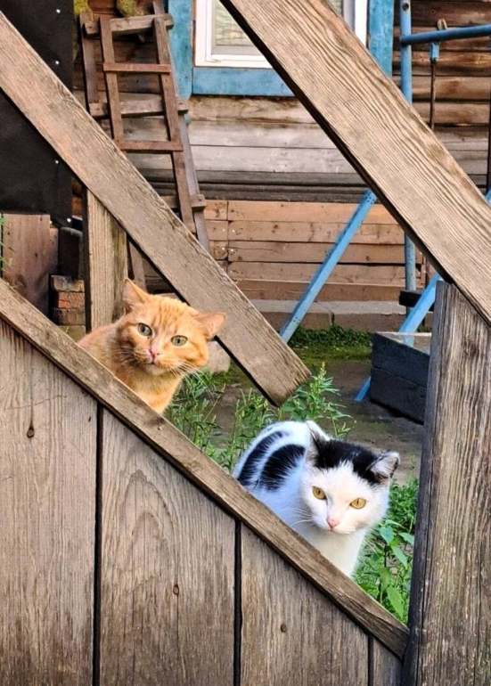 Топ-10 неоткрыточных фотографий Томска: стартовало народное голосование