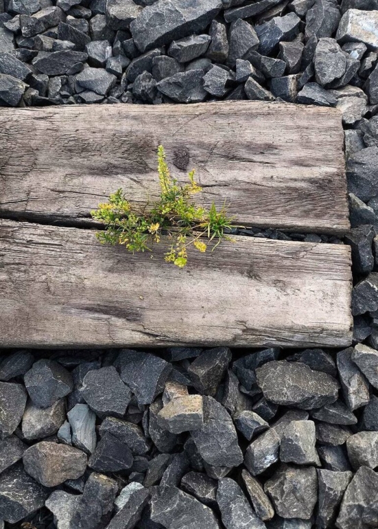 Топ-10 неоткрыточных фотографий Томска: стартовало народное голосование