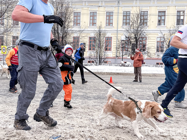 Больше 1000 человек пробежали 2026 метров по центру Томска