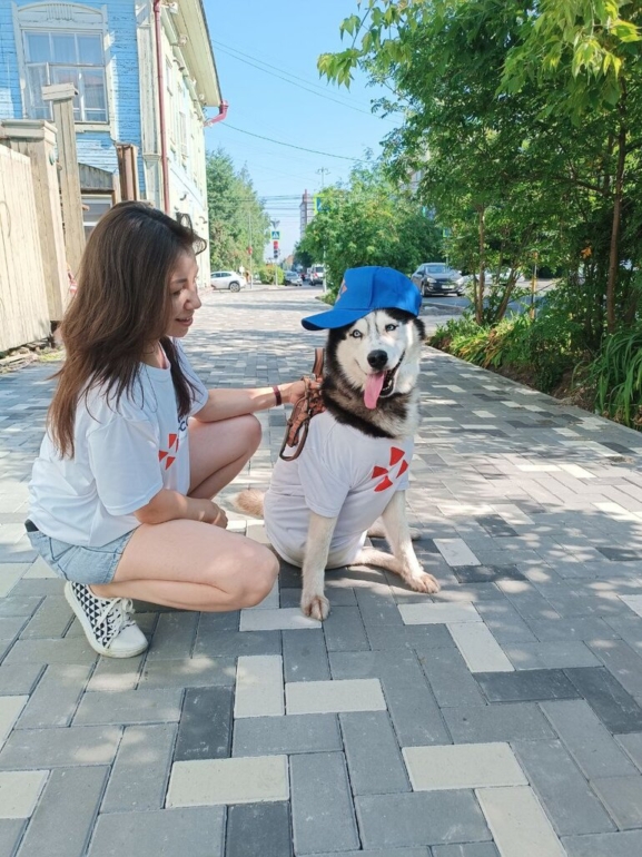 Хаски Кекс помог томскому кадровому центру победить на фестивале госпабликов