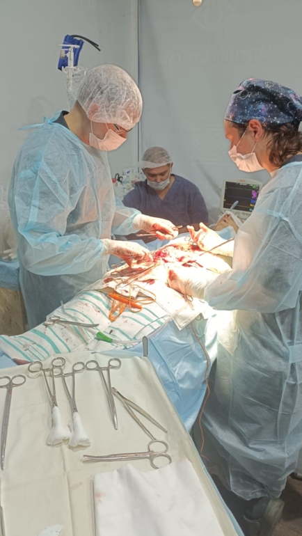 В Томске наградили победителей фотоконкурса «Связь поколений в здравоохранении»