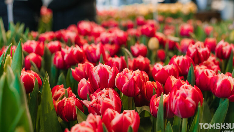Фоторепортаж: «Весну разрешаем!»