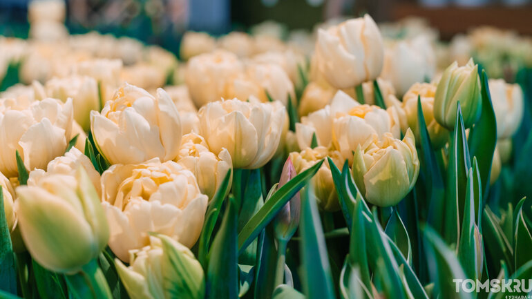 Фоторепортаж: «Весну разрешаем!»