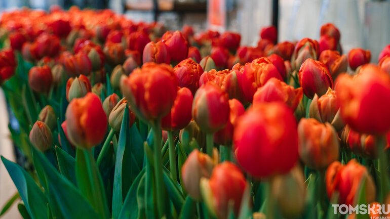 Фоторепортаж: «Весну разрешаем!»