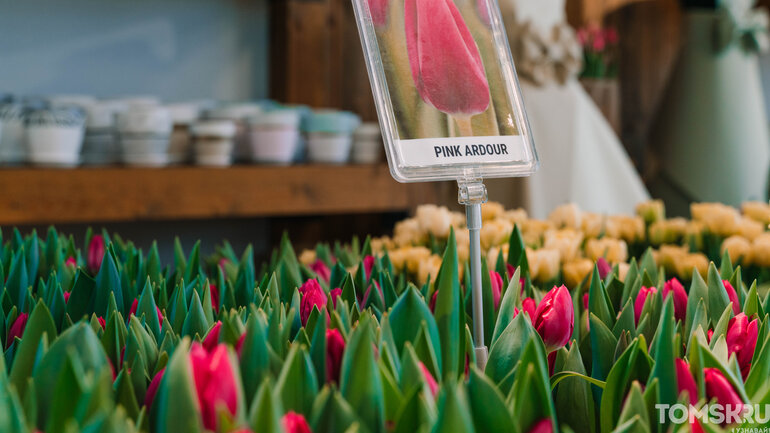 Фоторепортаж: «Весну разрешаем!»