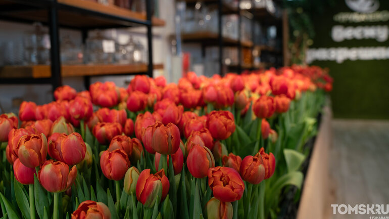 Фоторепортаж: «Весну разрешаем!»