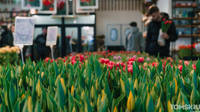 Фоторепортаж: «Весну разрешаем!»