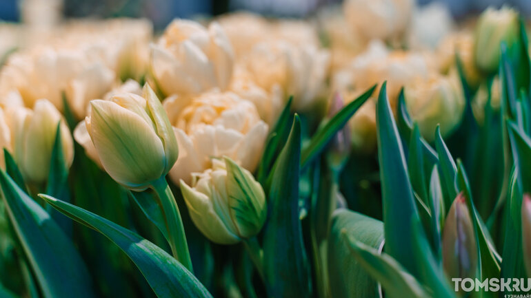 Фоторепортаж: «Весну разрешаем!»