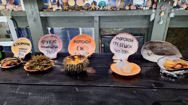 Сибиряк за Полярным кругом: маршрут от Мурманска до Териберки