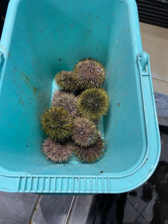 Сибиряк за Полярным кругом: маршрут от Мурманска до Териберки