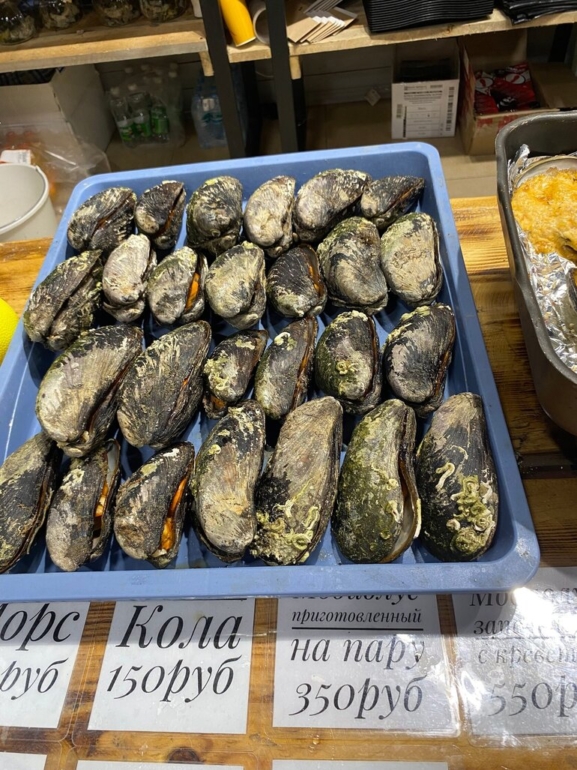 Сибиряк за Полярным кругом: маршрут от Мурманска до Териберки