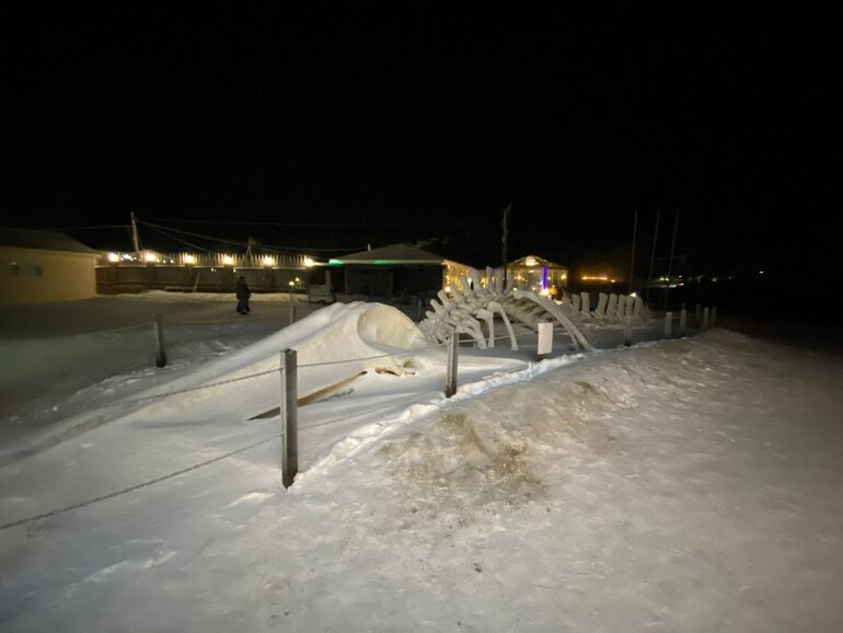 Сибиряк за Полярным кругом: маршрут от Мурманска до Териберки