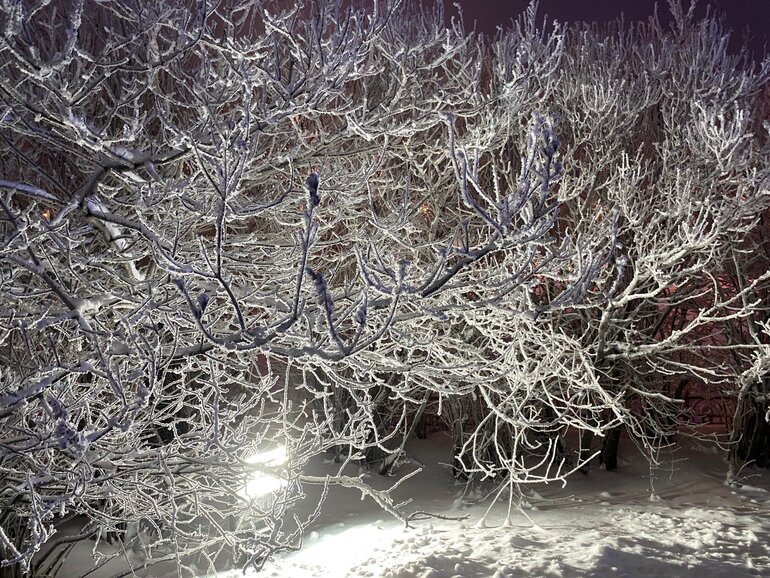 Сибиряк за Полярным кругом: маршрут от Мурманска до Териберки