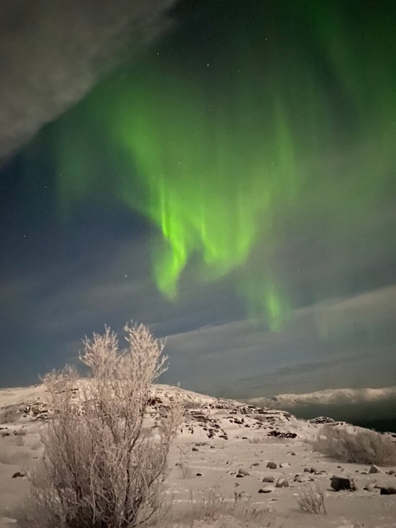 Сибиряк за Полярным кругом: маршрут от Мурманска до Териберки