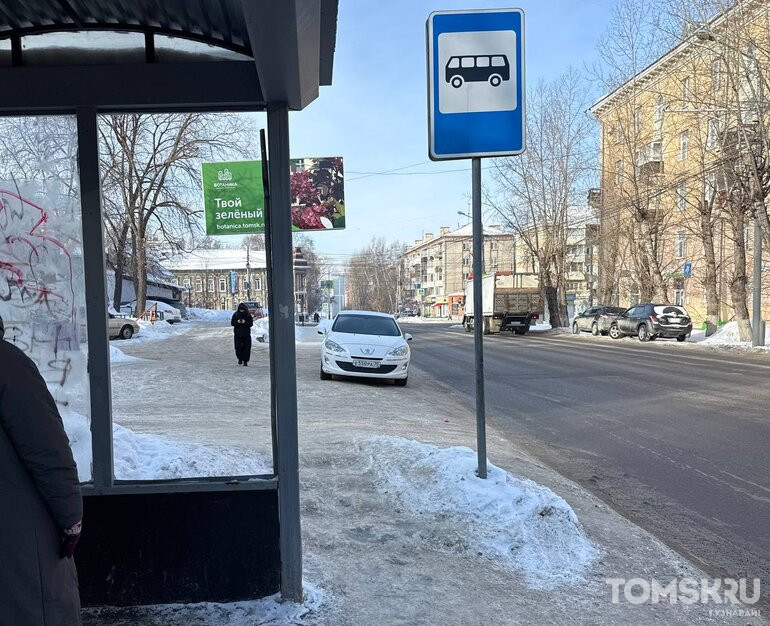 Мастера томской парковки: отсутствие эстетики или придорожная стоянка