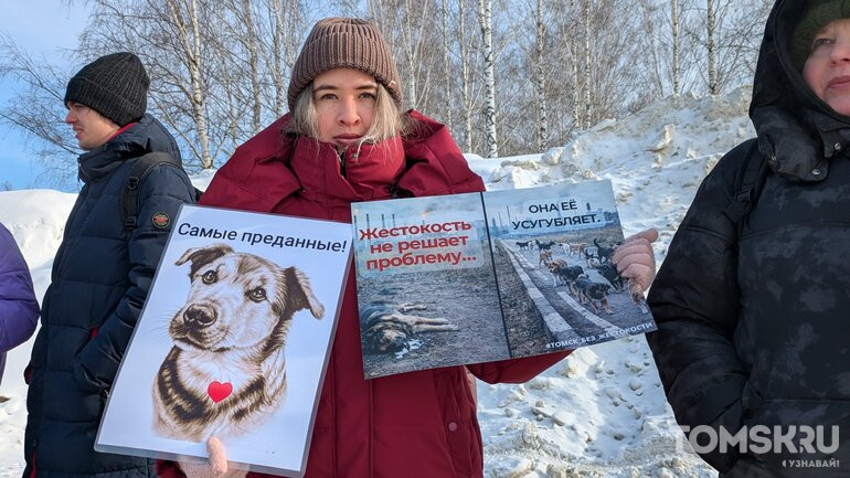 В Томске прошел пикет против массового отравления собак