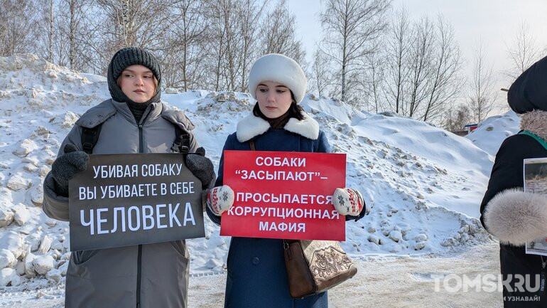 В Томске прошел пикет против массового отравления собак