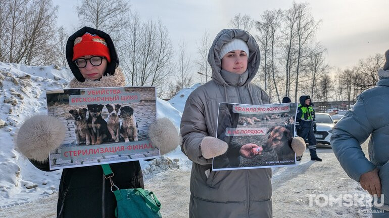 В Томске прошел пикет против массового отравления собак