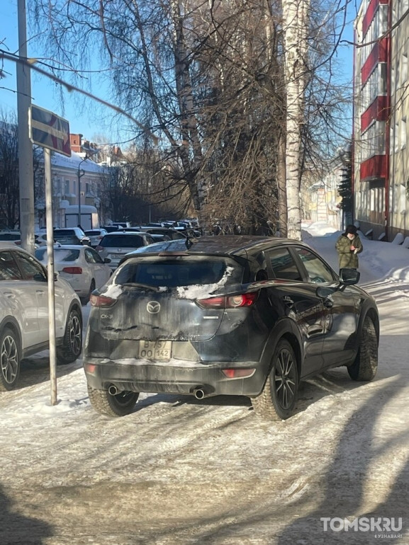 Мастера томской парковки: препятствия для ходьбы или перекрытые «зебры»