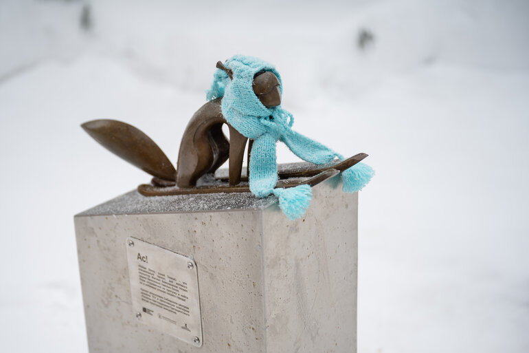 Томские белочки: как городской проект согревает сердца и вдохновляет на прогулки