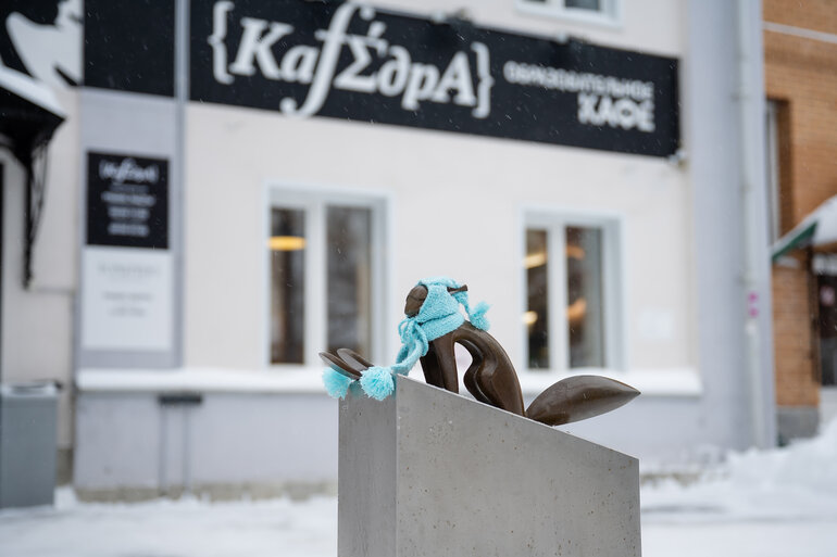 Томские белочки: как городской проект согревает сердца и вдохновляет на прогулки