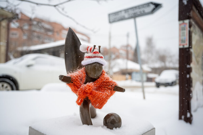 Томские белочки: как городской проект согревает сердца и вдохновляет на прогулки