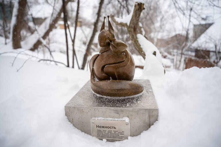Томские белочки: как городской проект согревает сердца и вдохновляет на прогулки