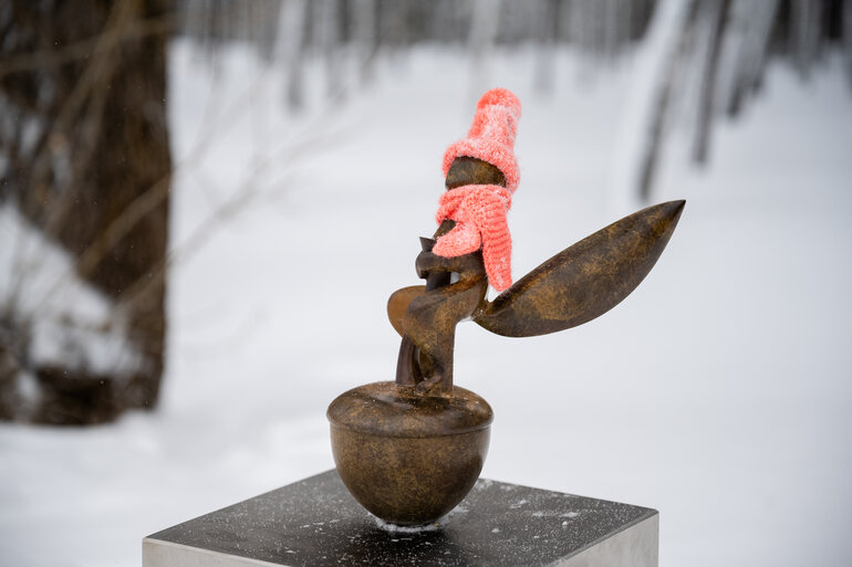 Томские белочки: как городской проект согревает сердца и вдохновляет на прогулки