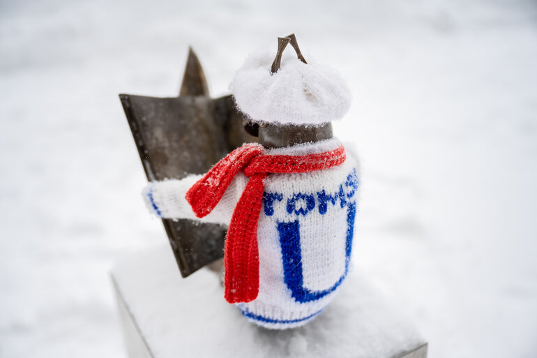 Томские белочки: как городской проект согревает сердца и вдохновляет на прогулки