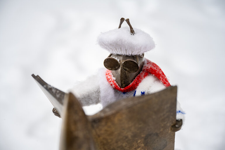 Томские белочки: как городской проект согревает сердца и вдохновляет на прогулки