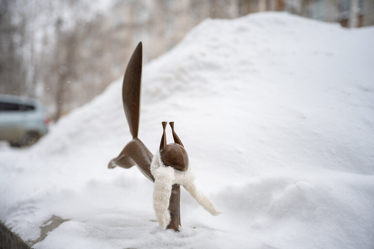 Томские белочки: как городской проект согревает сердца и вдохновляет на прогулки
