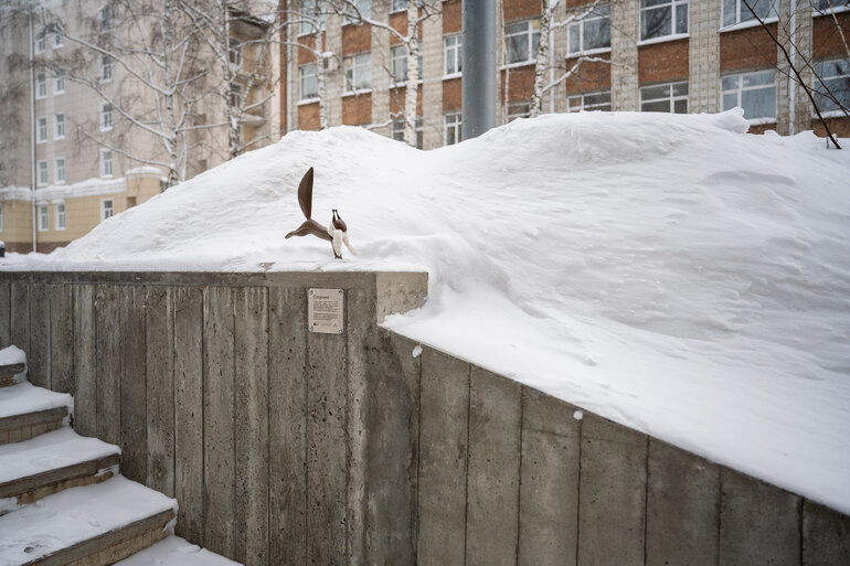 Томские белочки: как городской проект согревает сердца и вдохновляет на прогулки