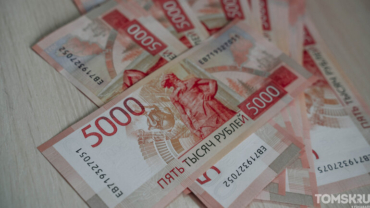 Выручка национализированной томской «КДВ Групп» достигла 308 млрд рублей