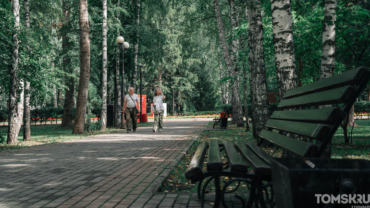 Лагерный сад, Академгородок, Степановка: где в Томске чаще всего нападают клещи