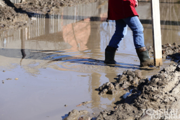В Томской области проверят дорогу к четырем селам после жалоб жителей
