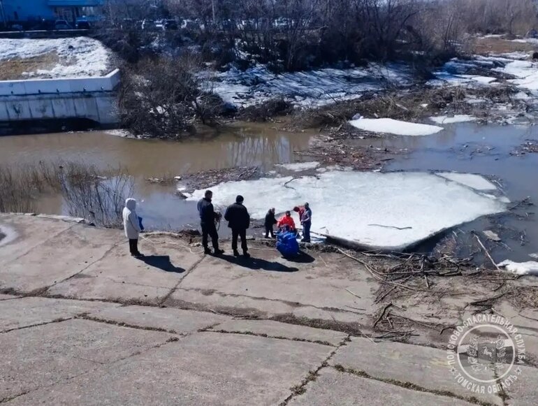Томичи спасли тонущую в Ушайке женщину